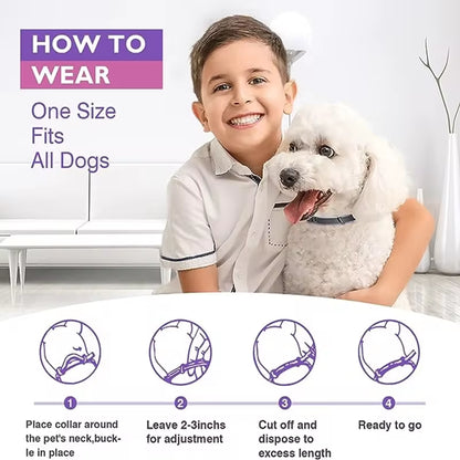 Serenecollar Calming Pheromone Collar