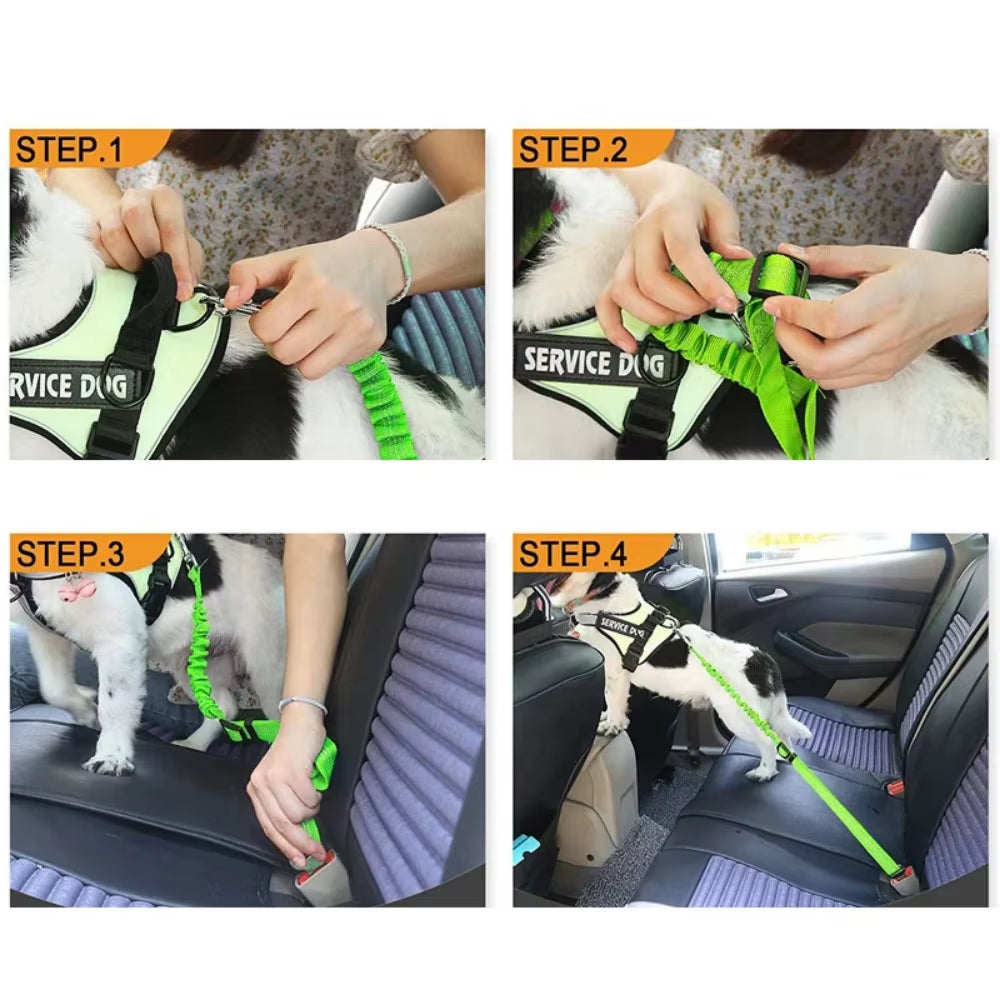 Saferide Reflective Seat Belt Harness