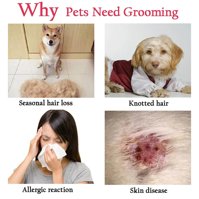 Shedaway Stainless Deshedding Brush