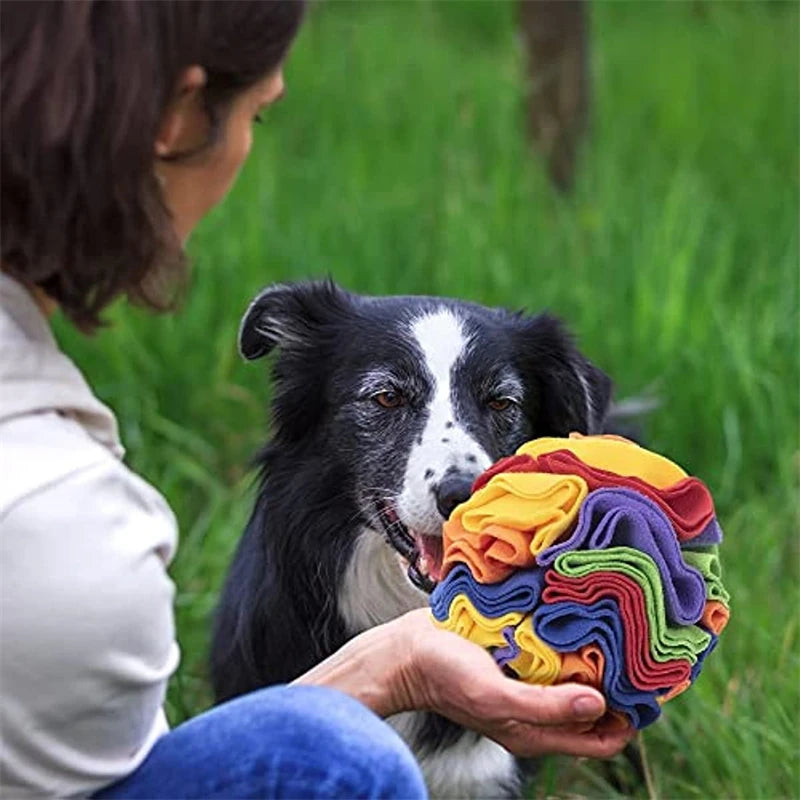 Sniffmat Interactive Foraging Blanket
