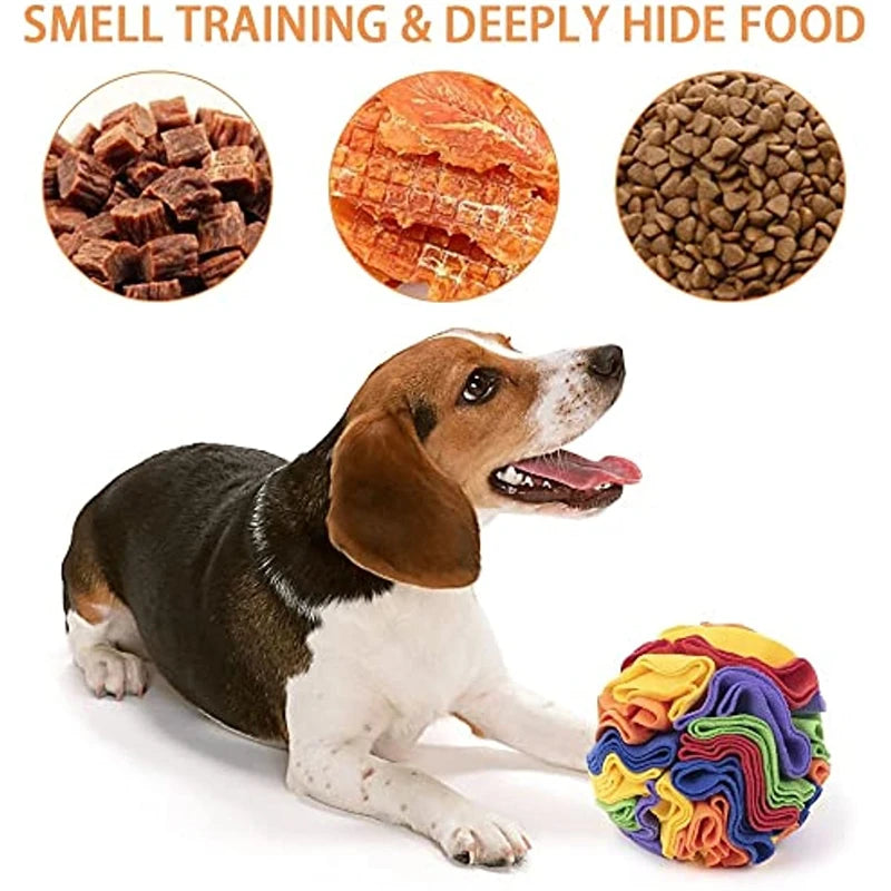 Sniffmat Interactive Foraging Blanket