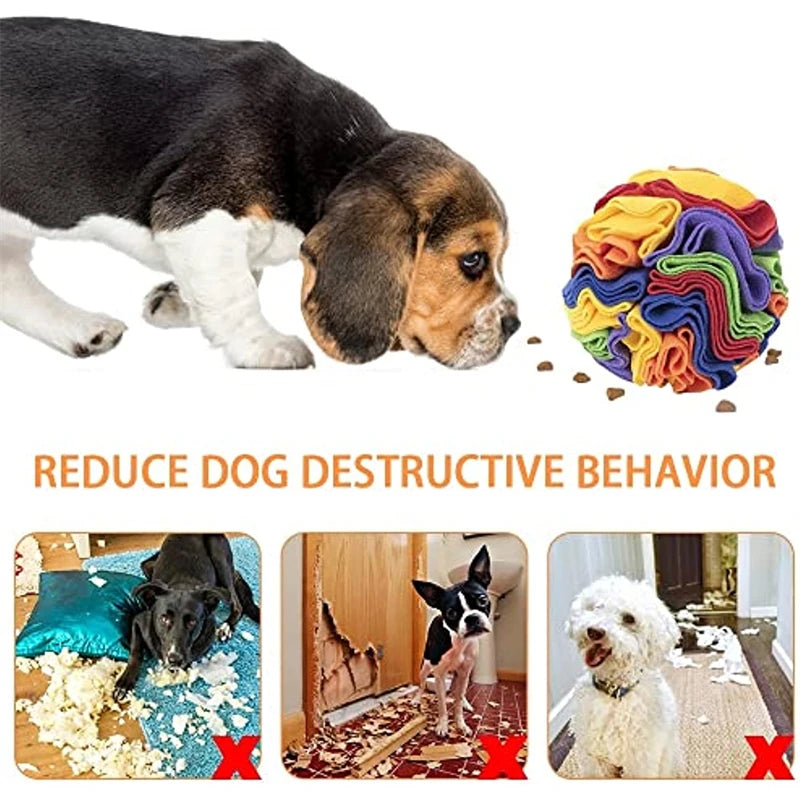 Sniffmat Interactive Foraging Blanket