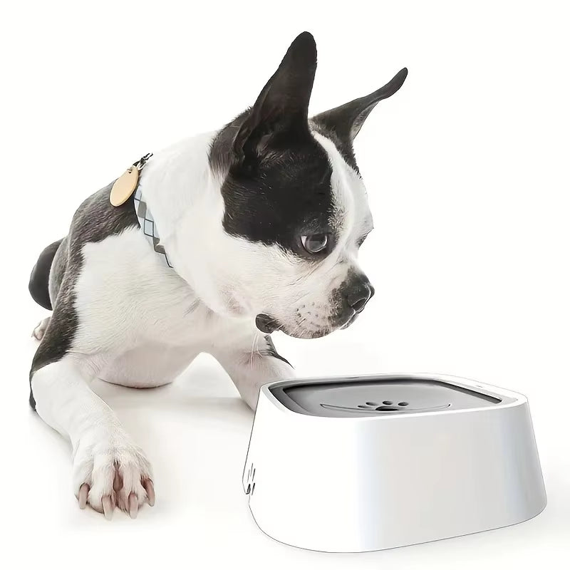 Spillstop No-Spill Slow Feeder Dish